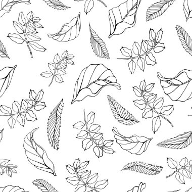 Çizilmiş yapraklardan oluşan pürüzsüz siyah beyaz bir desen. Doğa temalı tasarım ve arka plan için mükemmel. Kumaş baskısı, duvar kağıdı veya çevre dostu markalaşma projesi için uygun.