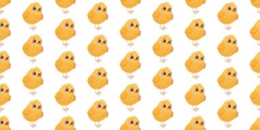 Beyaz arka planda düzgün sıralanmış sarı civcivlerin kusursuz deseni. Tekstil, duvar kâğıdı, ambalaj kağıdı ve baskı için şablon çizimi.