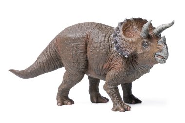  İzole edilmiş Triceratops dinozorları. Dinozorlar beyaz arka planda oynarlar. Triceratops gerçekten büyük bir dinozordu. Kesme yolu ile otobur yiyordu..