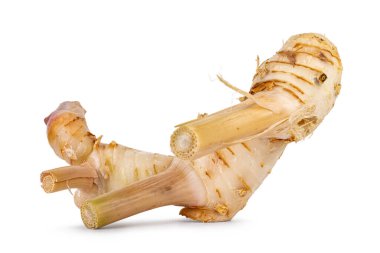 Taze galangal, yani zencefil kökü, beyaz bir arka planda izole edilmiş..