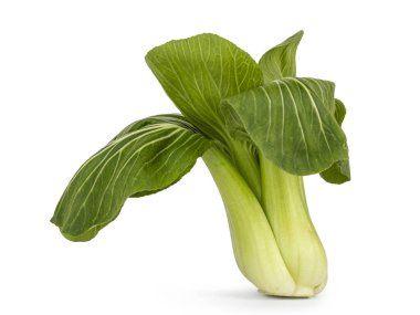 Bak choy ya da Paksoi sebzesinden yakın çekim. Beyaz bir arkaplanda izole edilmiş.