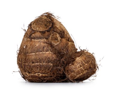 Soyulmamış taro kökü sebzesinin yakın çekimi. Beyaz bir arkaplanda izole edilmiş.