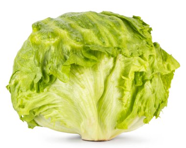 Buzdağı marulu yan yatıyordu. Beyaz bir arkaplanda izole edilmiş