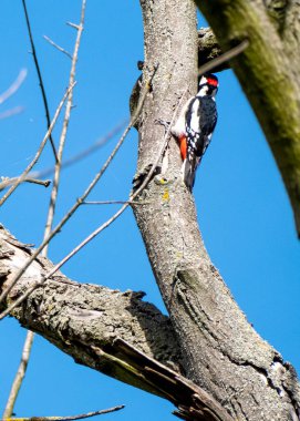 Bir kafayla çalışmak bazen zor ve yorucu olabilir.