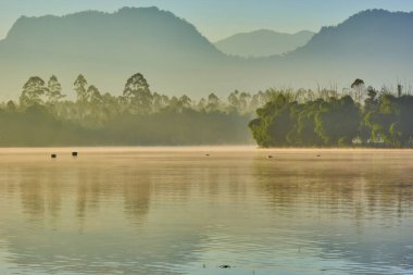 Tepe ve ormanla çevrili göz kamaştırıcı renkli göl manzarası