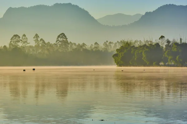 Stunning scenery of colorful lake surrounded by hill and forest