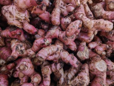 Süpermarket vitrininde sergilenen galangal manzarasının üst görüntüsü, modern pazarda satılık taze galangal