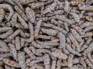 Süpermarket vitrininde gösterilen zerdeçal görüntüsünü kapat, modern pazarda satılık taze zerdeçal.