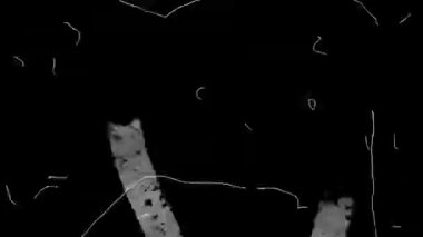 Soyut grunge dokusu arkaplanı örtüyor. Korku filmi hasar etkisi. Döngülü çizik dokusu