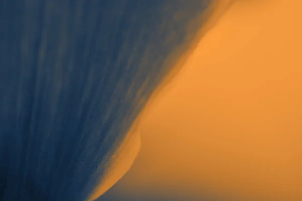 Абстрактный Фон Дуотоновых Винтажных Ярких Цветах Кривые Линии Гладкий Мягкий — стоковое фото
