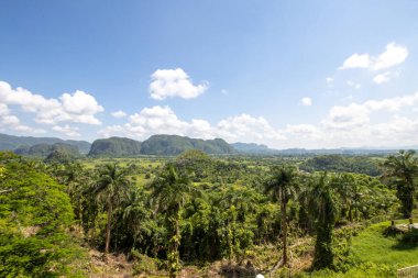 Küba 'daki Vinales Vadisi Pinar del Rio Eyaleti, Küba' daki popüler turizm merkezi.