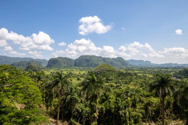 Küba 'daki Vinales Vadisi Pinar del Rio Eyaleti, Küba' daki popüler turizm merkezi.