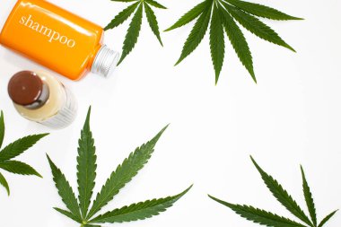Arka planda kenevir yapraklı kenevir kozmetiği. CBD yağ kremi ve haplar. Temiz beyaz arka planda kozmetik marihuana kavramı
