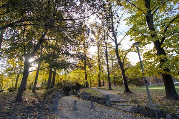Şehir Parkında Sonbahar Eşit Bank Cennet Manzarası Güzel Yeşillikler Rahatlatıcı — Stok fotoğraf