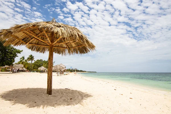 Karibischer Strand Tropischer Meeresgrund Urlaub Sommer — Stockfoto