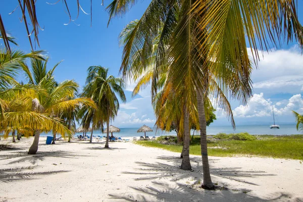 Turistas Banhos Uma Praia Paradisíaca Cuba Relaxamento Sem Multidões — Fotografia de Stock