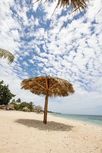 加勒比海滩 热带海背景 夏天的假日 图库照片