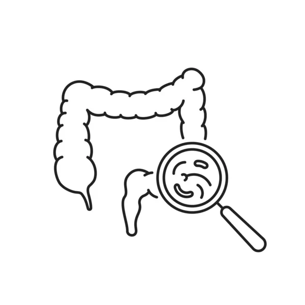 Thin Line Research Studying Intestinal Tract Icon Outline Graphic Web — Stock Vector