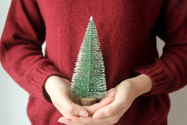 stock image Woman with red sweater holding small christmas tree.