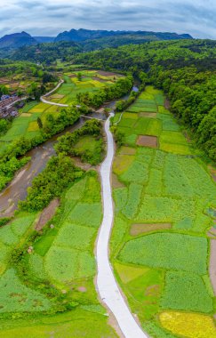 Çin 'in Guizhou kentindeki Pingtang ilçesinin kırsal manzarası dünyanın en büyük tek çanaklı radyo teleskopuna ev sahipliği yapmaktadır..