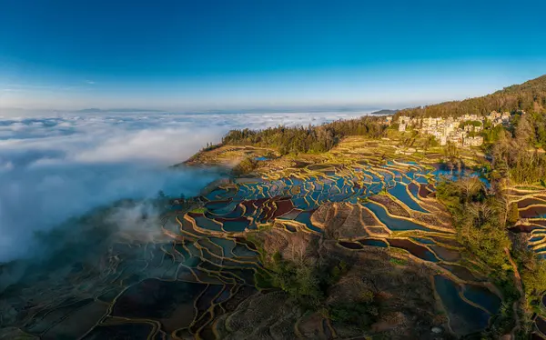 stock image cloud sea,Yuanyang Rice Terraces,nightfall