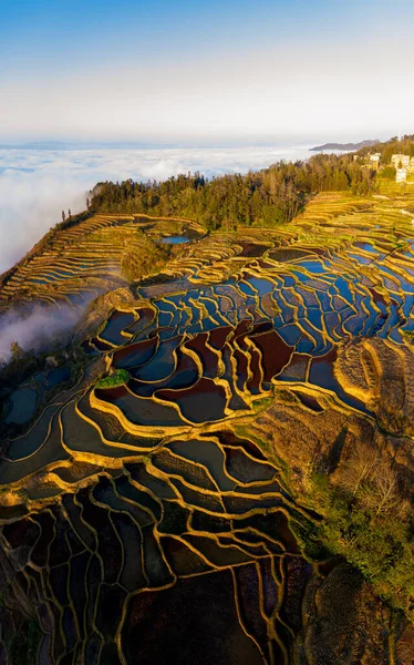 stock image cloud sea,Yuanyang Rice Terraces,nightfall