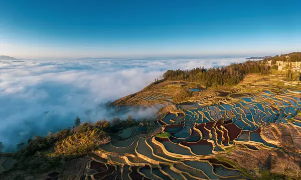 stock image cloud sea,Yuanyang Rice Terraces,nightfall