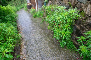 Taijiang County, Qiandongnan, Guizhou, Çin 'deki Miao Köyü Büyüsü.