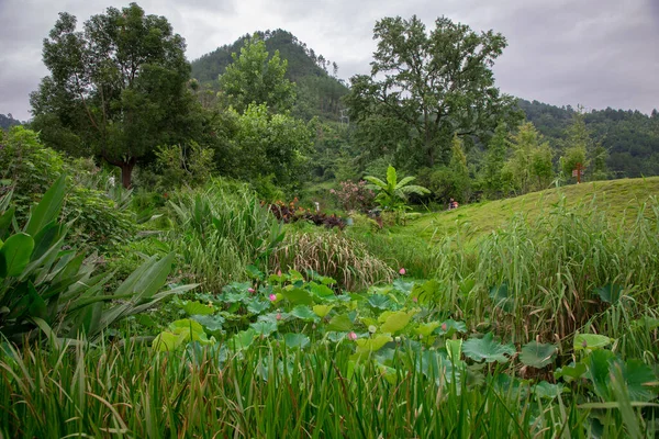 Taijiang County, Qiandongnan, Guizhou, Çin 'deki Miao Köyü Büyüsü.