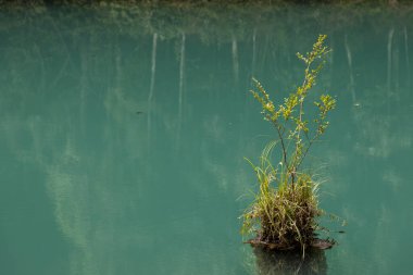 Maolan ve Daxiaoqiukong 'un Libo, Guizhou, Çin' deki manzarası..