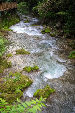 Maolan ve Daxiaoqiukong 'un Libo, Guizhou, Çin' deki manzarası..