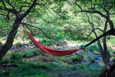 Maolan ve Daxiaoqiukong 'un Libo, Guizhou, Çin' deki manzarası..