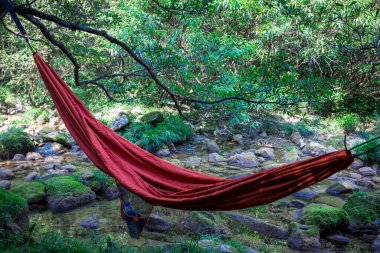 Maolan ve Daxiaoqiukong 'un Libo, Guizhou, Çin' deki manzarası..