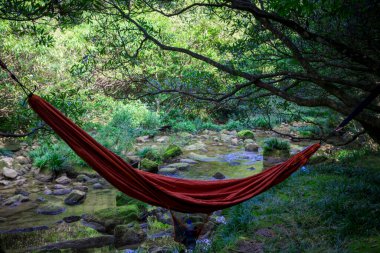 Maolan ve Daxiaoqiukong 'un Libo, Guizhou, Çin' deki manzarası..