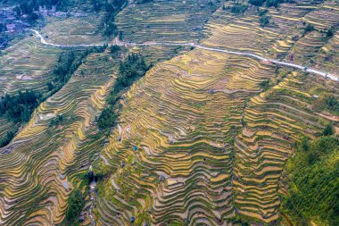 Jiabang Terrace Fields, Jiang County, Guizhou, Çin 'de bir misafir evinin manzarası..