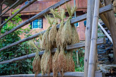Jiabang Terrace Fields, Jiang County, Guizhou, Çin 'de bir misafir evinin manzarası..