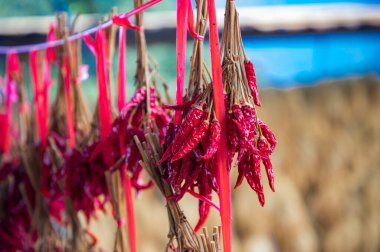 Jiabang Terrace Fields, Jiang County, Guizhou, Çin 'de bir misafir evinin manzarası..
