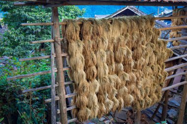 Jiabang Terrace Fields, Jiang County, Guizhou, Çin 'de bir misafir evinin manzarası..