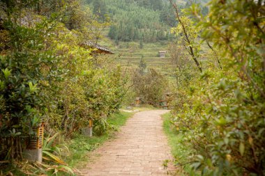 Jiabang Terrace Fields, Jiang County, Guizhou, Çin 'de bir misafir evinin manzarası..