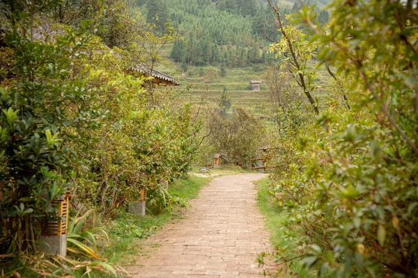 Krajobraz Pensjonatu Jiabang Terraced Fields Jiang County Guizhou Chiny — Zdjęcie stockowe