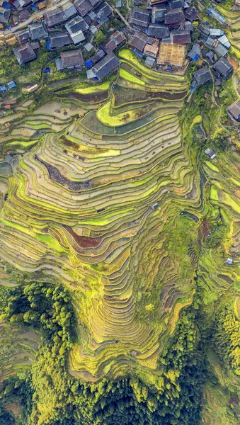 Några Unika Naturlandskap Guizhou Kina — Stockfoto