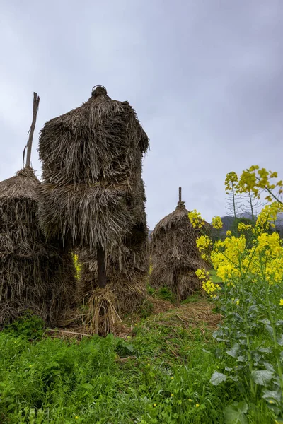 Αγροτικό Τοπίο Του Pingtang County Guizhou Κίνα Είναι Σπίτι Του — Φωτογραφία Αρχείου