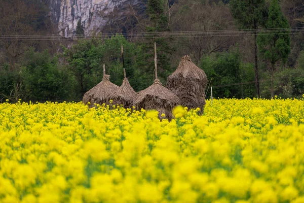 Wiejskie Krajobrazy Pingtang County Guizhou Chiny Jest Domem Dla Największego — Zdjęcie stockowe