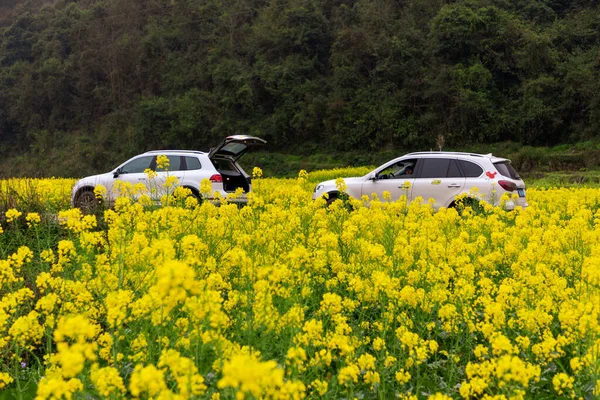 Wiejskie Krajobrazy Pingtang County Guizhou Chiny Jest Domem Dla Największego — Zdjęcie stockowe