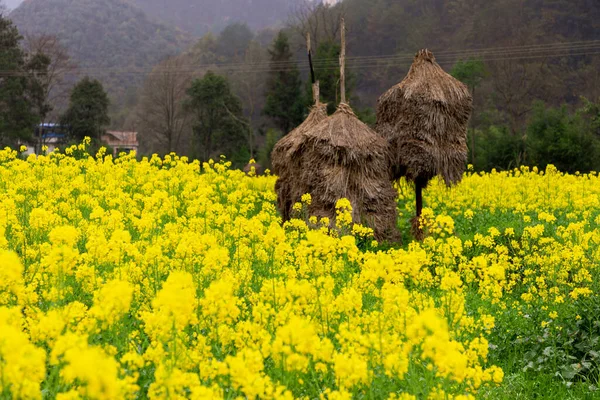 Сельский Пейзаж Округа Пинтан Гуйчжоу Китай Является Домом Крупнейшего Мире — стоковое фото