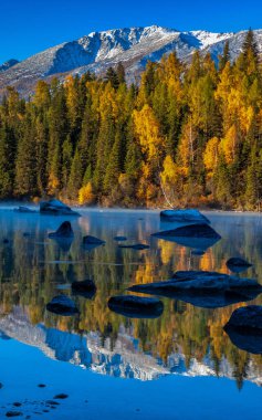 Çin 'in Xinjiang kentindeki Kanas' ın sonbahar manzarası.