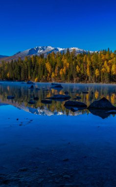 Çin 'in Xinjiang kentindeki Kanas' ın sonbahar manzarası.