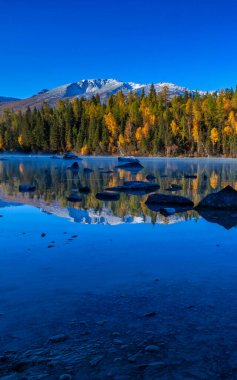 Çin 'in Xinjiang kentindeki Kanas' ın sonbahar manzarası.