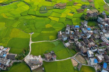 Çin 'in Guizhou kentindeki Pingtang ilçesinin kırsal manzarası dünyanın en büyük tek çanaklı radyo teleskopuna ev sahipliği yapmaktadır..