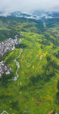 Qiandongnan, Guizhou, Çin 'deki Jiabang Terasları manzarası.